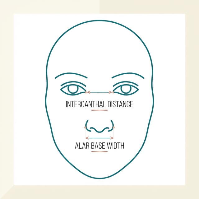 Alar Base Width