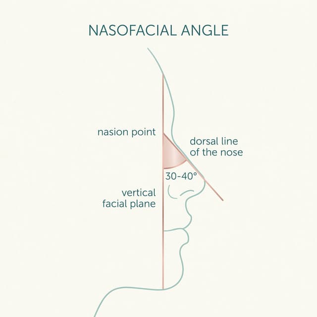 Nasofacial Angle